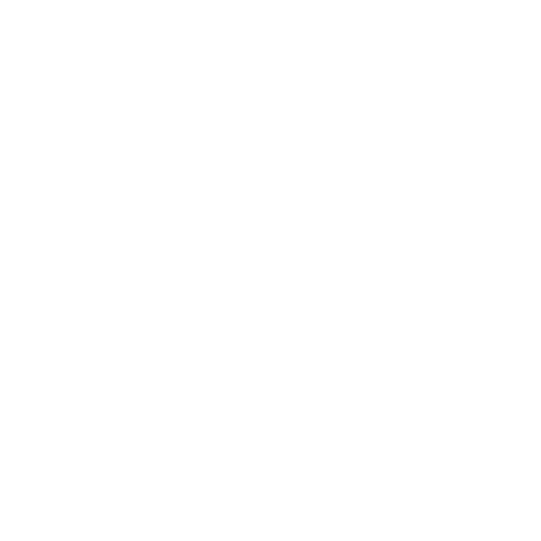 logo_vap
